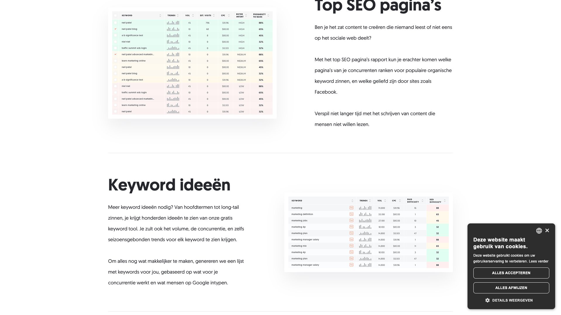 Site Audit